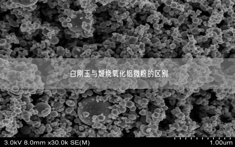 白刚玉与煅烧氧化铝微粉的区别(图3)