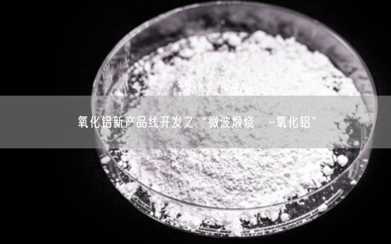 氧化铝新产品线开发之“微波煅烧α-氧化铝”(图2)