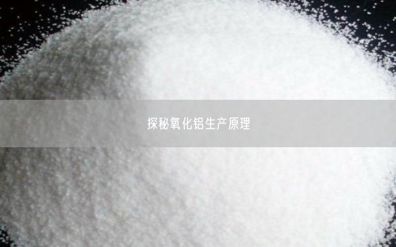 探秘氧化铝生产原理(图4)
