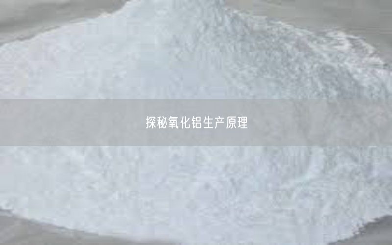 探秘氧化铝生产原理(图5)