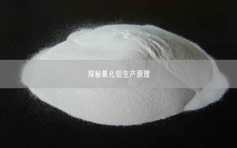 探秘氧化铝生产原理(图2)